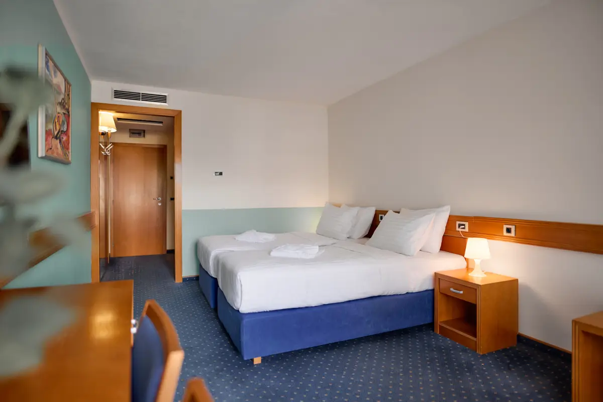 Standard double or twin room with sea view and balcony-Hotel Selce (10)